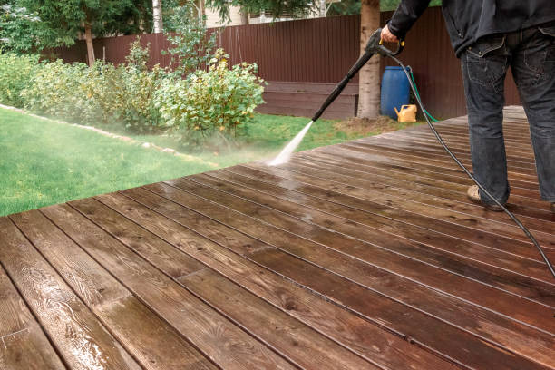 Best Solar Panel Cleaning  in La Joya, TX