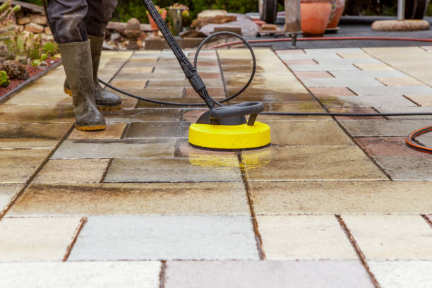 Best Warehouse Cleaning  in La Joya, TX